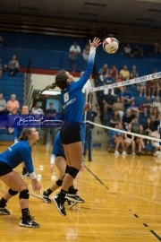 Volleyball: Polk at West Henderson (BR3_5849)