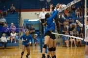 Volleyball: Polk at West Henderson (BR3_5858)