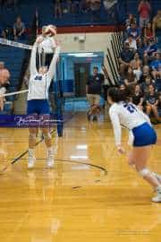 Volleyball: Polk at West Henderson (BR3_6092)