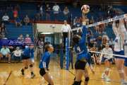 Volleyball: Polk at West Henderson (BR3_6115)