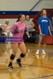 Volleyball: Polk at West Henderson (BR3_6158)
