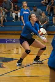 Volleyball: Polk at West Henderson (BR3_6187)