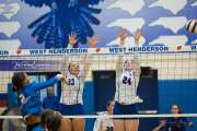 Volleyball: Polk at West Henderson (BR3_6307)