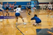 Volleyball: Polk at West Henderson (BR3_6390)