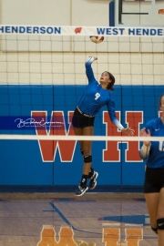 Volleyball: Polk at West Henderson (BR3_6414)