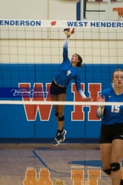 Volleyball: Polk at West Henderson (BR3_6415)