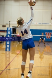 Volleyball: Polk at West Henderson (BR3_6434)