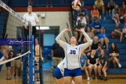 Volleyball: Polk at West Henderson (BR3_6452)