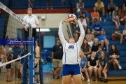 Volleyball: Polk at West Henderson (BR3_6455)