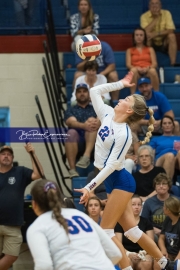 Volleyball: Polk at West Henderson (BR3_6457)