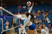 Volleyball: Polk at West Henderson (BR3_6488)