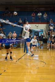 Volleyball: Polk at West Henderson (BR3_6522)