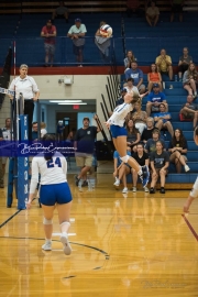 Volleyball: Polk at West Henderson (BR3_6528)