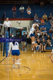 Volleyball: Polk at West Henderson (BR3_6529)