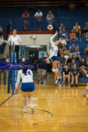 Volleyball: Polk at West Henderson (BR3_6530)