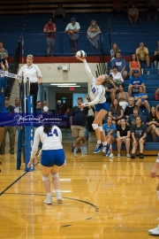 Volleyball: Polk at West Henderson (BR3_6531)