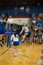 Volleyball: Polk at West Henderson (BR3_6535)