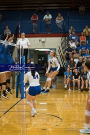 Volleyball: Polk at West Henderson (BR3_6536)