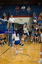 Volleyball: Polk at West Henderson (BR3_6537)