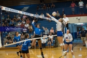 Volleyball: Polk at West Henderson (BR3_6604)