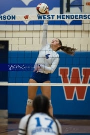 Volleyball Brevard at West Henderson (BR3_2537)