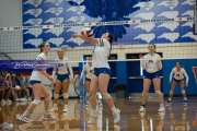 Volleyball Brevard at West Henderson (BR3_2561)