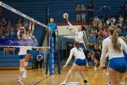 Volleyball Brevard at West Henderson (BR3_2666)