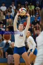Volleyball Brevard at West Henderson (BR3_2694)