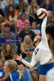 Volleyball Brevard at West Henderson (BR3_2782)