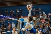 Volleyball Brevard at West Henderson (BR3_2861)