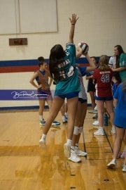 Volleyball Brevard at West Henderson (BR3_2102)