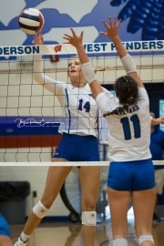 Volleyball Brevard at West Henderson (BR3_3421)