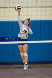 Volleyball Brevard at West Henderson (BR3_3446)