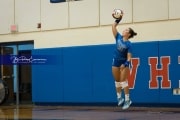 Volleyball Brevard at West Henderson (BR3_3569)