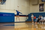 Volleyball Brevard at West Henderson (BR3_3583)