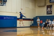 Volleyball Brevard at West Henderson (BR3_3584)