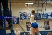 Volleyball Brevard at West Henderson (BR3_3625)