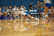 Volleyball Brevard at West Henderson (BR3_3659)
