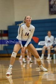 Volleyball Brevard at West Henderson (BR3_3667)