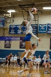 Volleyball Brevard at West Henderson (BR3_3738)
