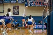 Volleyball Brevard at West Henderson (BR3_3768)