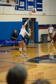 Volleyball Brevard at West Henderson (BR3_3817)