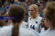 Volleyball Brevard at West Henderson (BR3_3834)