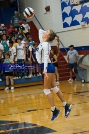 Volleyball Brevard at West Henderson (BR3_3838)
