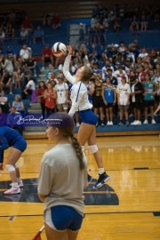Volleyball Brevard at West Henderson (BR3_3852)