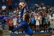 Volleyball Brevard at West Henderson (BR3_3887)