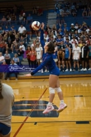 Volleyball Brevard at West Henderson (BR3_3910)