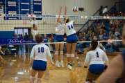 Volleyball Brevard at West Henderson (BR3_3914)