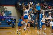 Volleyball Brevard at West Henderson (BR3_4087)
