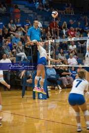 Volleyball Brevard at West Henderson (BR3_4103)